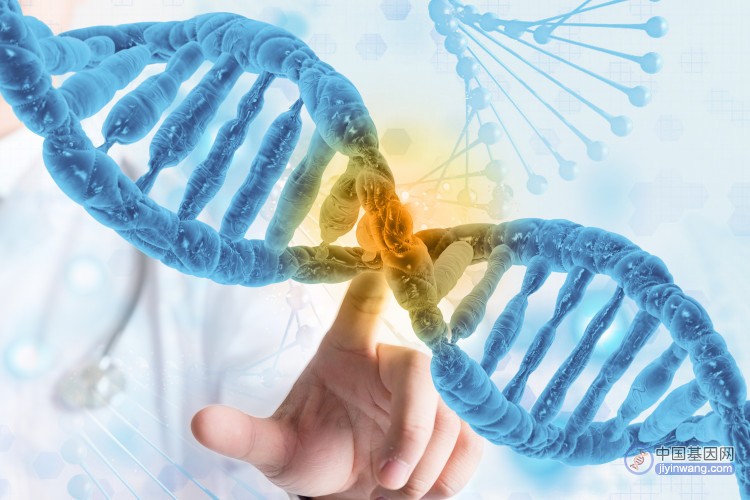 2022年全球基因检测行业发展现状分析